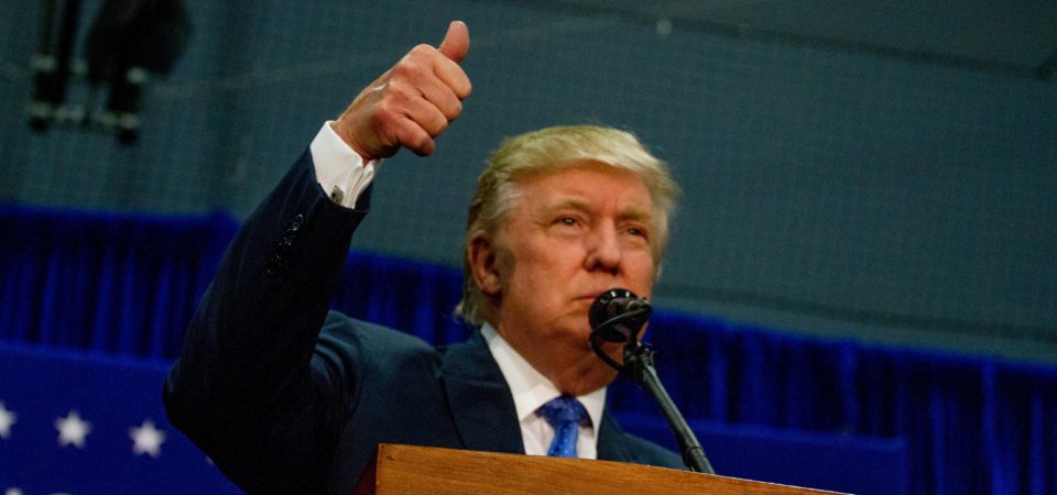 Trump’s Election Causes Huge Spike In Business For Royal Seas Cruises and Other Cruise Lines