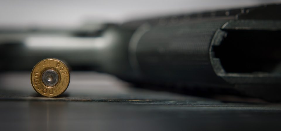 Gun Control Advocates Appeal to FL Legislature on Gun Reforms