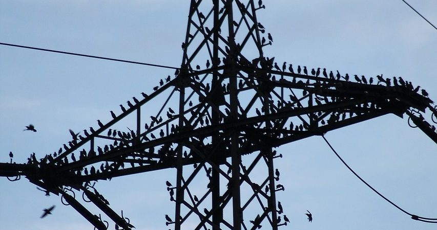 Regulators Ready to Grapple With Gulf Power Rates