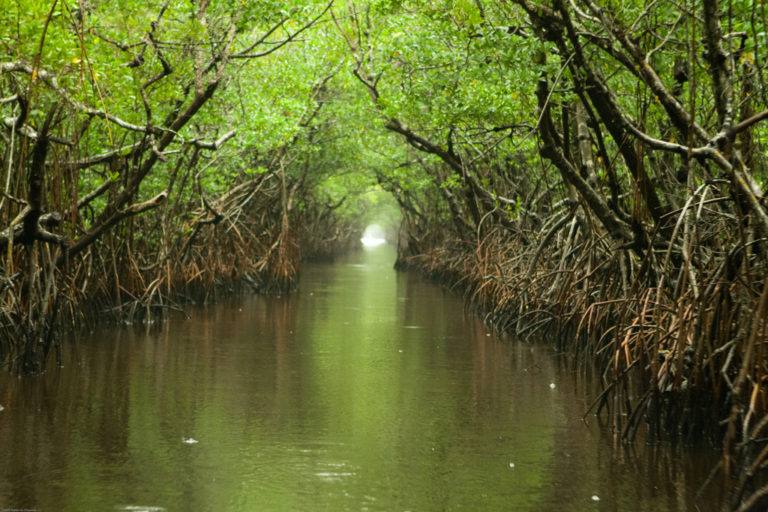 Questions Remain About Negron Water Priority
