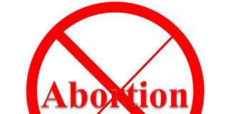 House passes bill prohibiting abortion after 20 weeks