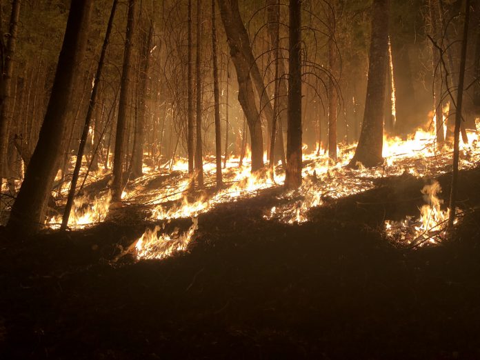 California wildfires--Medocino Complex Fire