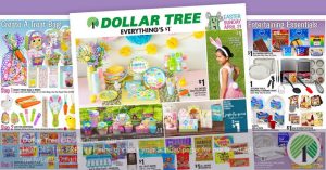 Dollar tree -dollar store products