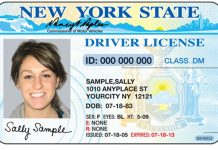 New York Sample Driver's License