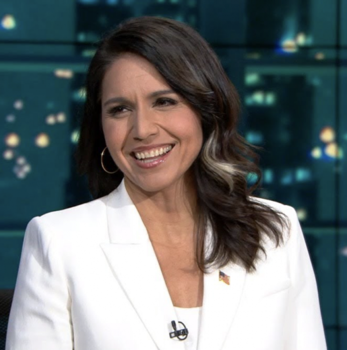 Tulsi Gabbard Gains Momentum Following Joe Rogan Podcast Appearance ...