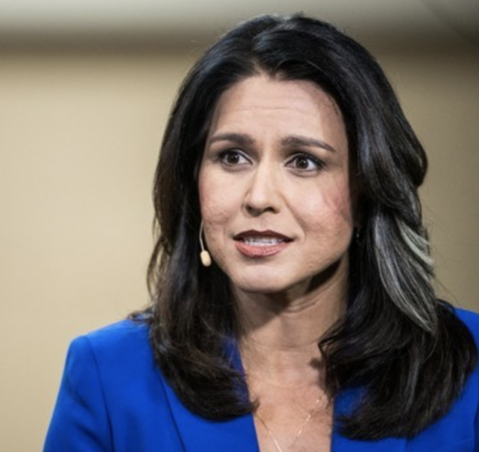 War Veteran Tulsi Gabbard Ends 2020 Presidential Campaign - USA Herald