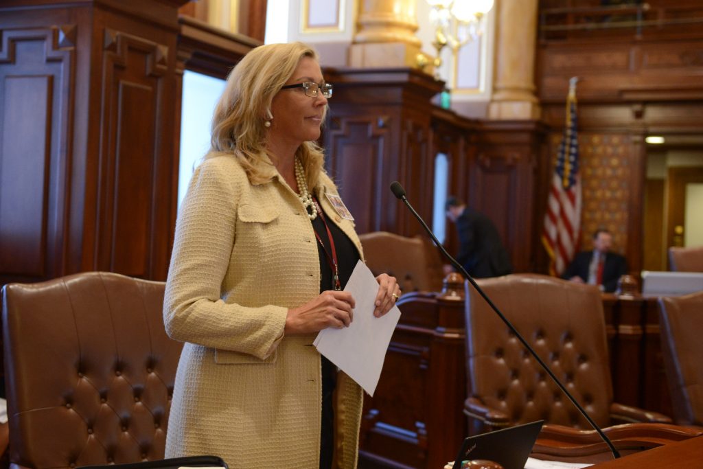 Illinois State Sen Sue Rezin