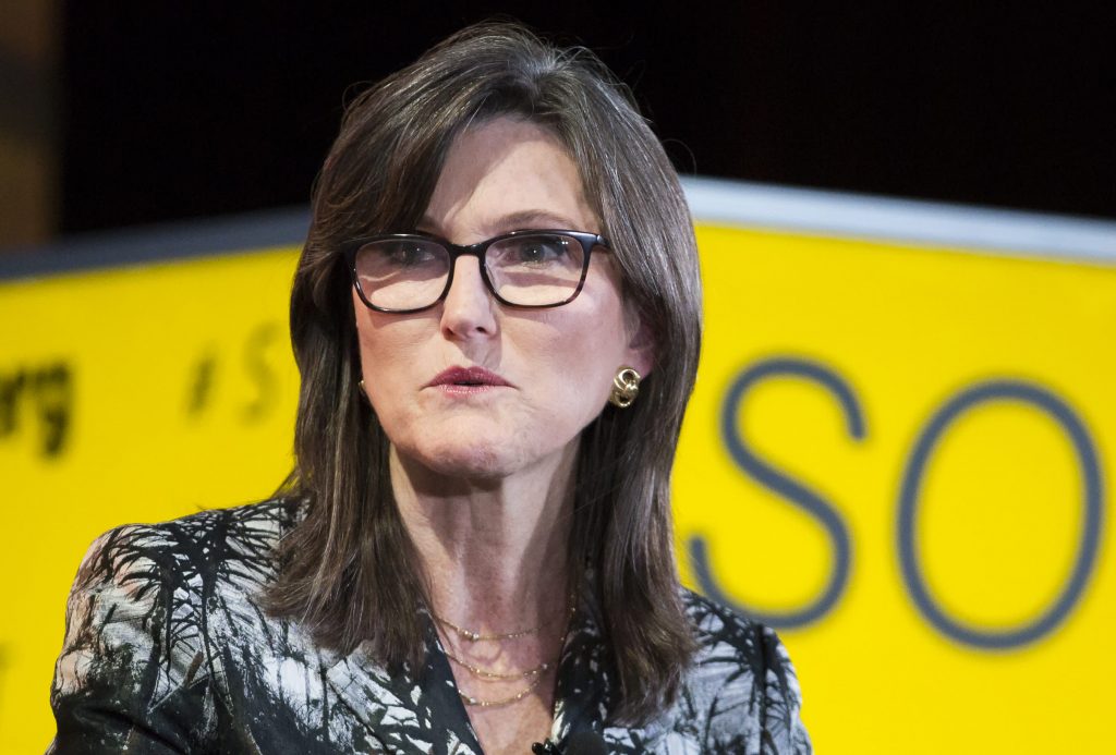 Cathie Wood CEO of Ark Investment