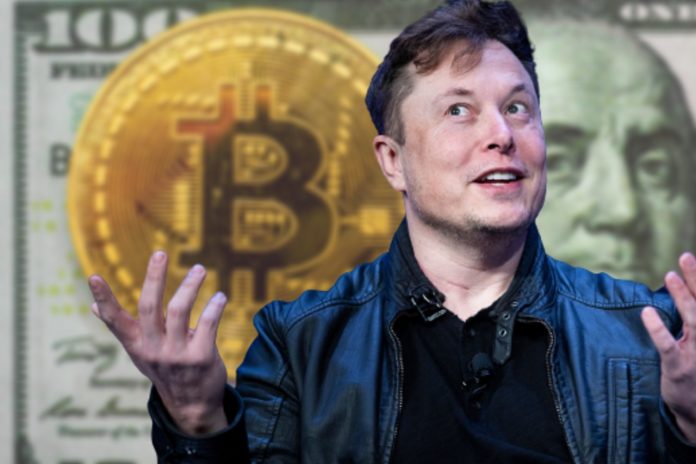 Elon Musk, Bitcoin in the background