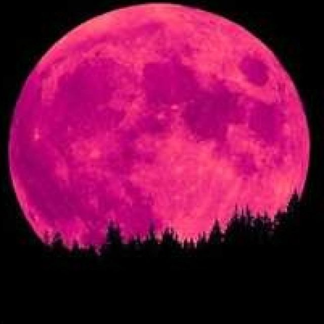 Pink Moon 2024 Date And Time Now - Rose Rodina