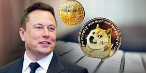 Elon musk $258B Dogecoin Investors lawsuit