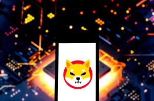 Shiba Inu cryptocurrency