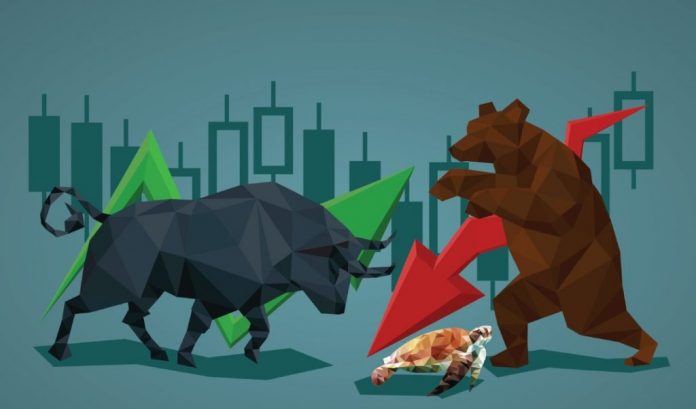 Bull and bear , symbolic beasts of market trend