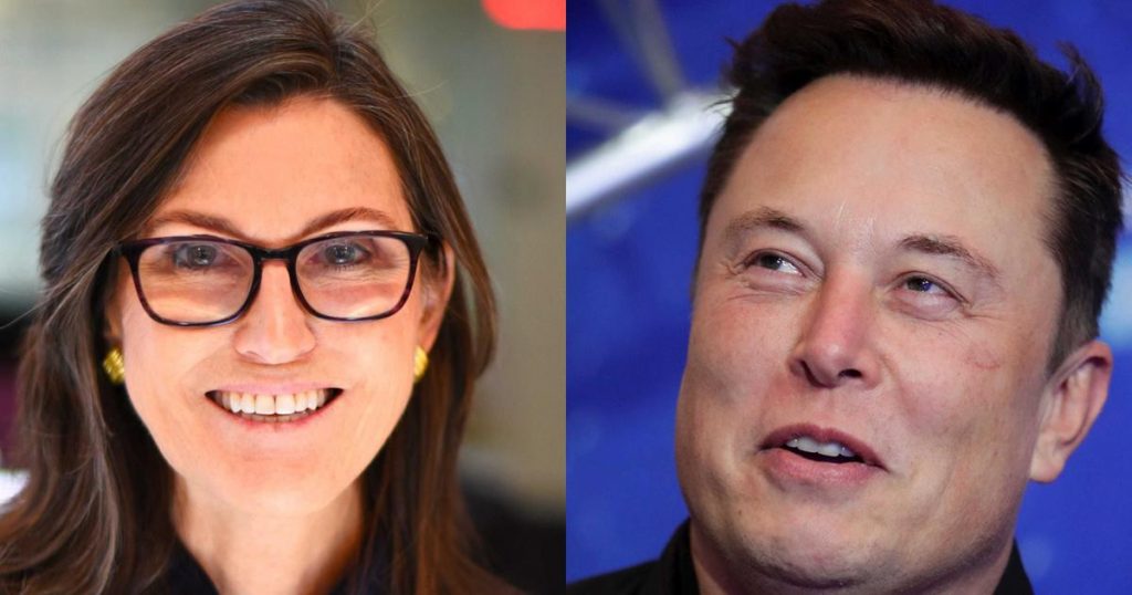 Cathie Wood - Elon Musk