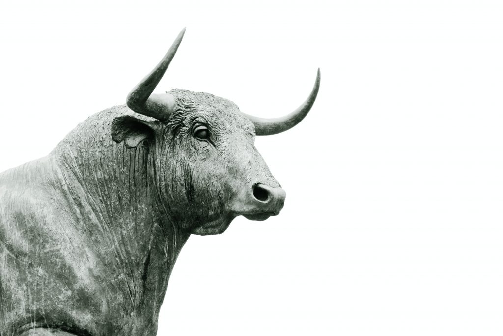 Bullish Market - Hans Eiskonen via Unsplash