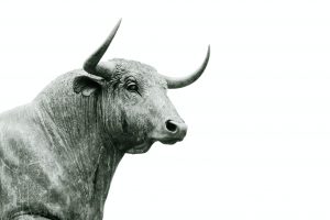 Bullish Market - Hans Eiskonen via Unsplash