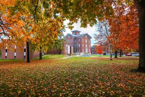 Fall at Lincoln College