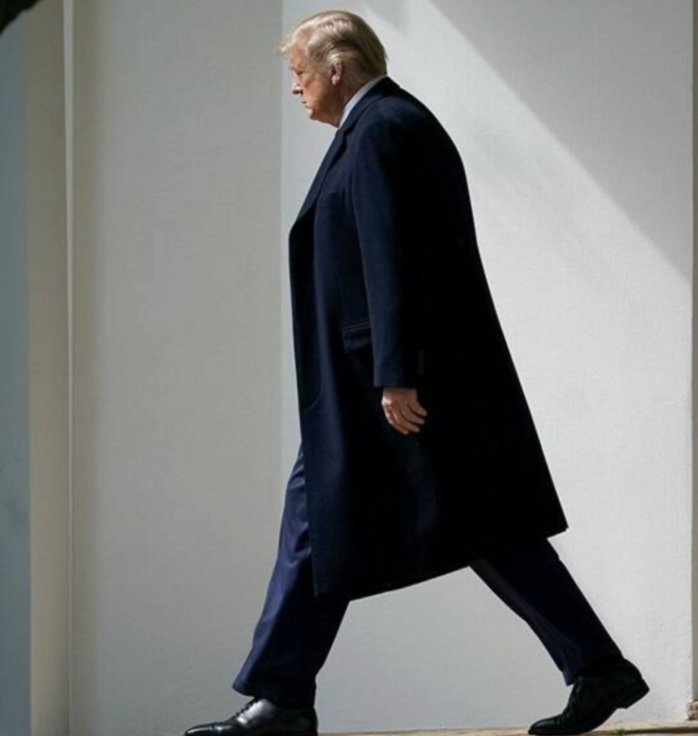 POLL: Most Think Trump’s Endorsement of “Terminating” Constitution is Disqualifying