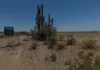 Arizona’s Booming Towns
