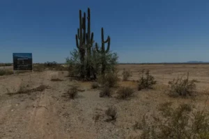 Arizona’s Booming Towns