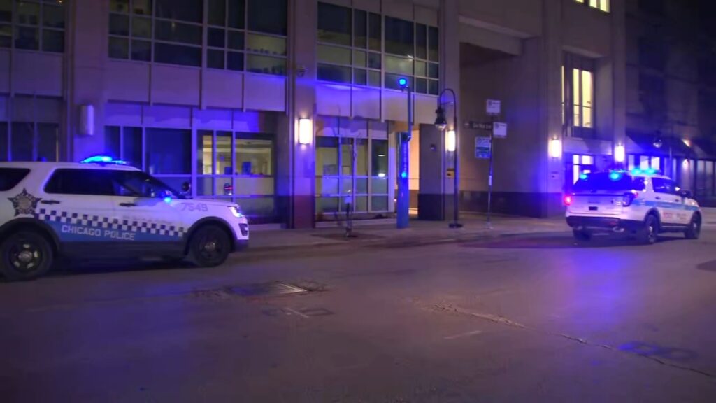 2 newborns found dead