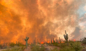 Arizon wildfires