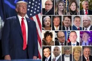 Georgia Elections Case