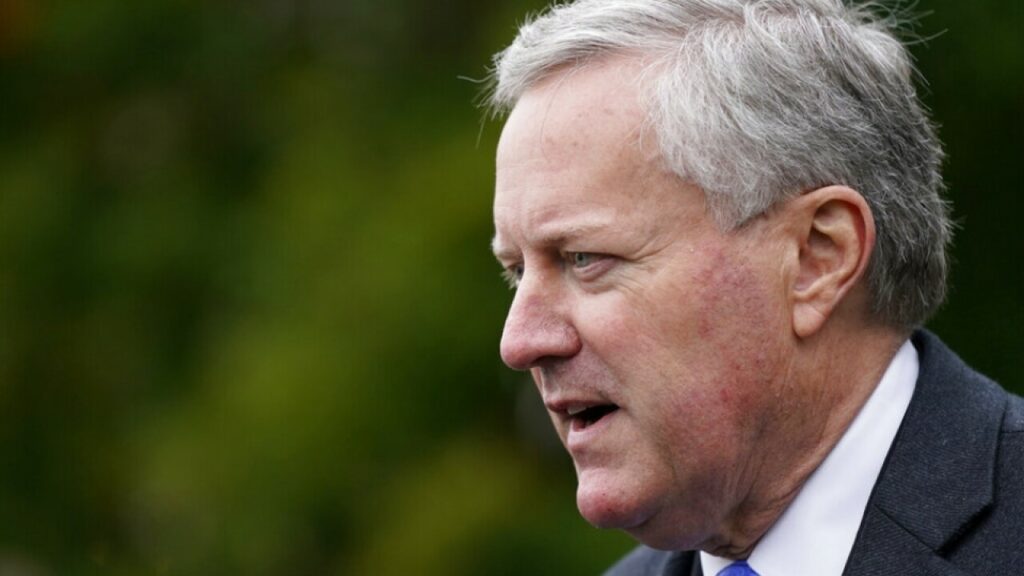 Meadows Booked In Georgia