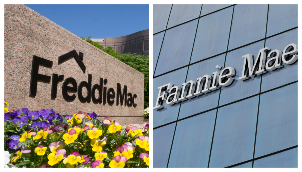 Fannie Mae and Freddie Mac
