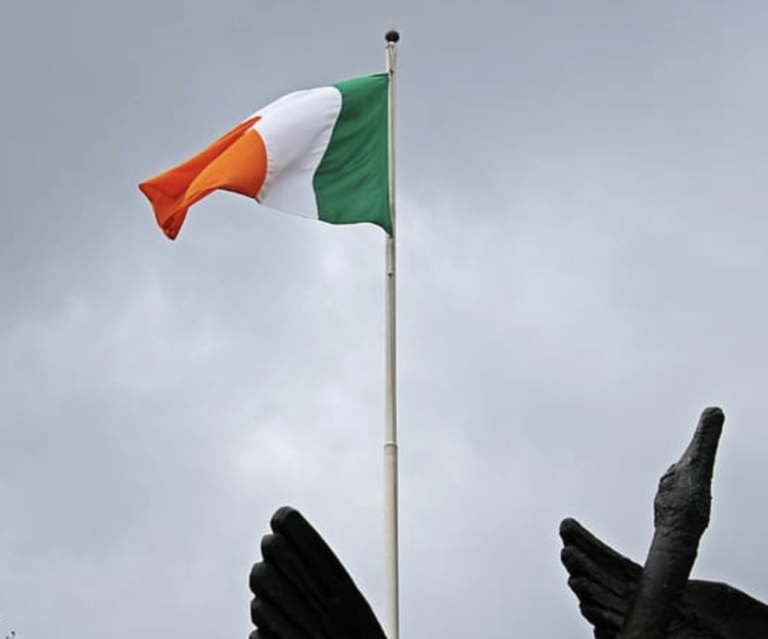 Irish Residents Largely Opt For Private Car Usage Over Public Transportation