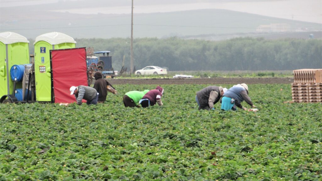 Farmers Wages 9th Circuit