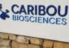 The Legal Battle of Caribou Biosciences: A Clash Over Cancer Drug Claims