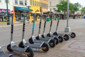 Bird Global Hits Ch 11 With Sale Plans