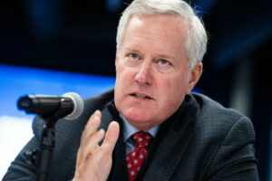 Meadows Removal In Election Case