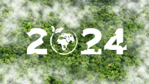Biggest Environmental Cases In 2024