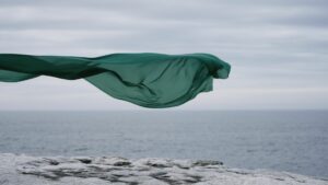 Green Energy Biz To Buy 56% Of Norway Firm