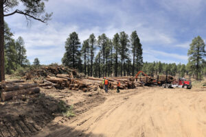 Restoration Forest files for bankruptcy