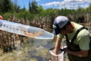 michigan water claimes 6th Circ