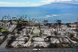 Maui Wildfire Case Sent Back To Hawaii State Court