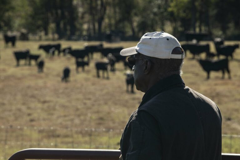 Texas Farmers Sue USDA Over Aid Distribution