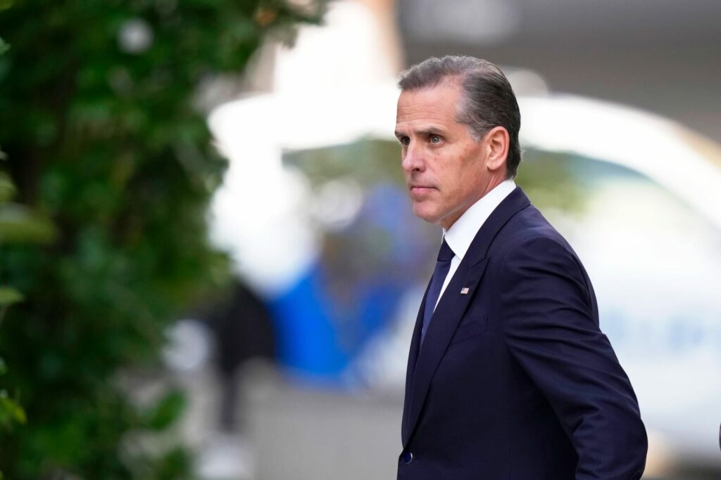 Hunter Biden Alford Plea