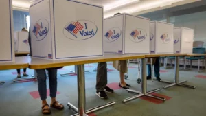 Virginia voter roll purge