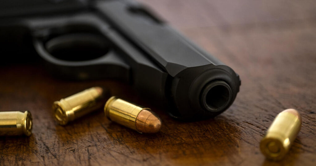 justices michigan gun range ban review