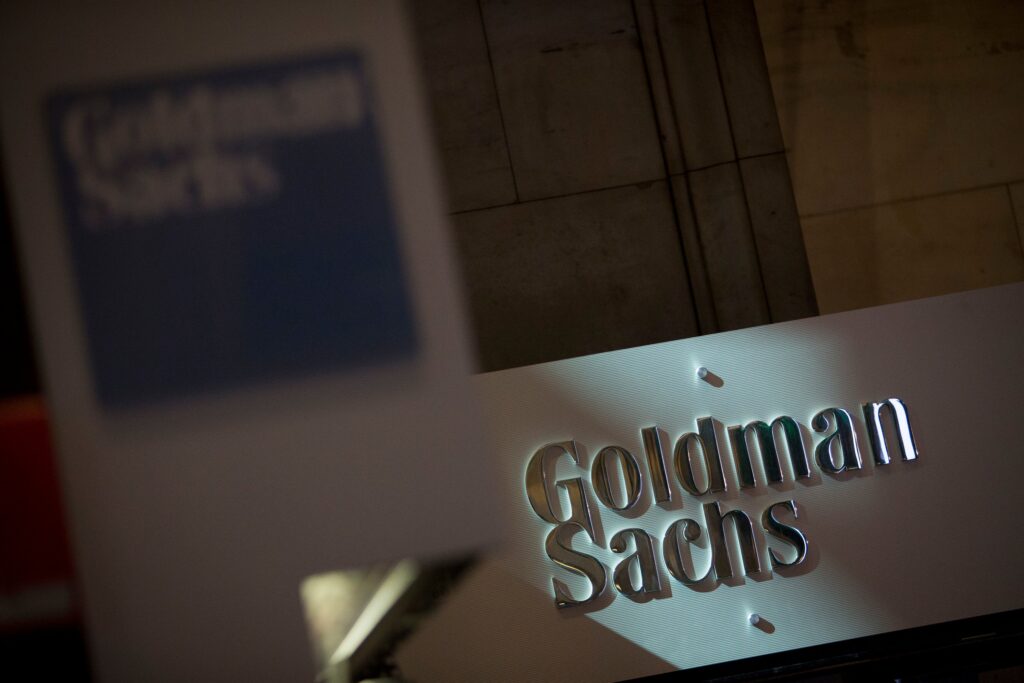 Goldman Sachs Buys Synthon Stake