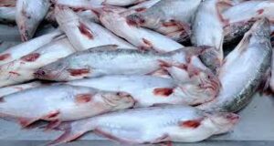 us vietnam fish duty settlement