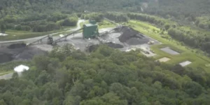 White Forest Resources files for Chapter 11