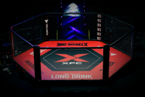 "Martial Arts Organization CEO SEC $1M