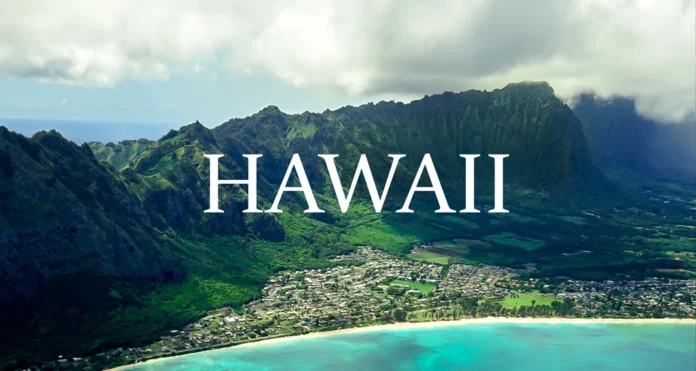 ChatGPT a dit : Hawaii CBD Shop Sues Over Fake THC-Laced Products