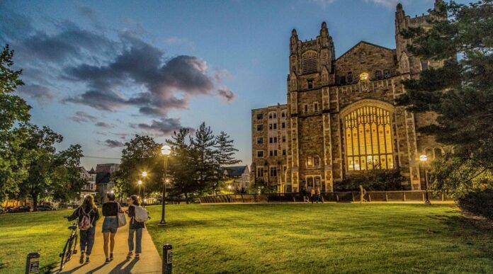 UMich Workers Fired Over Pro-Palestine Protests