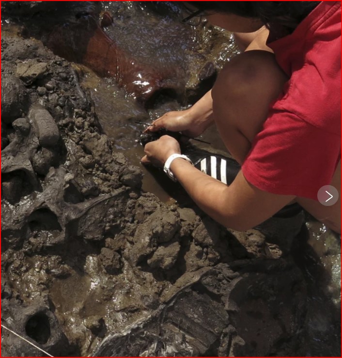 Genetic Clues Reveal Mysterious Group of Ancient Hunter-Gatherers